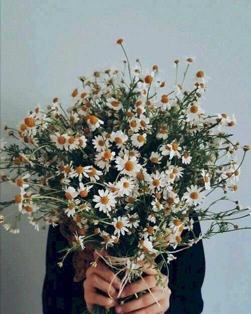 Hình ảnh cô gái với những bông hoa che đi khuôn mặt xinh đẹp By <a href=